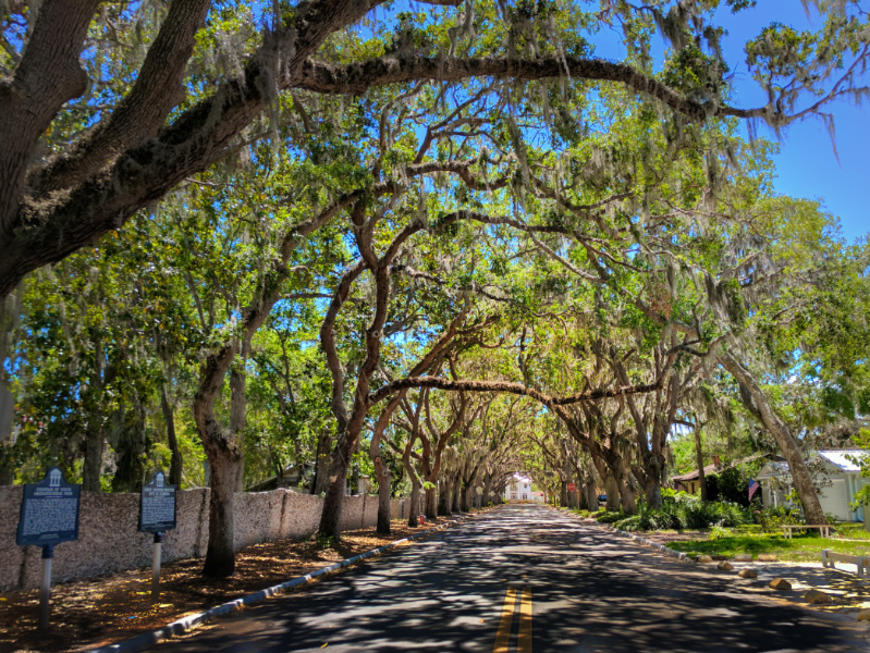 Most Beautiful Street in America Magnolia Street St Augustine 6