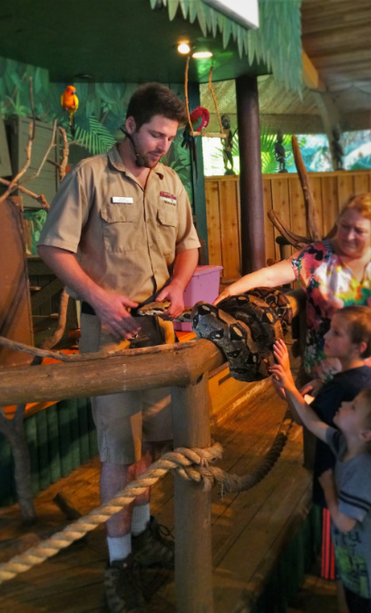 Trainer and Python at St Augustine Alligator Farm 1