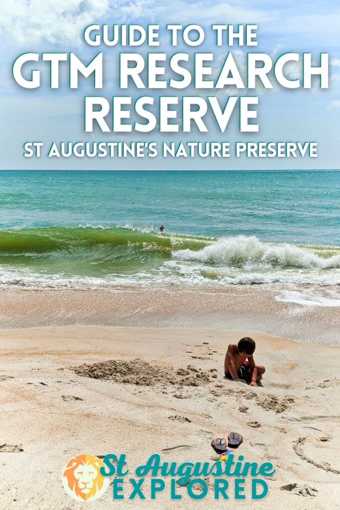 Exploring St Augustine's GTM Research Reserve is a great way to both learn about nature and have the best beach day imaginable. Watch for wildlife and find shark teeth at this beautiful preserve.