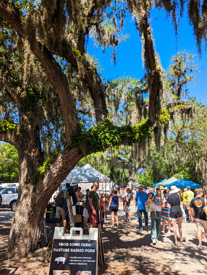 Saturday St Augustine Farmers Market at the Amphitheater 1