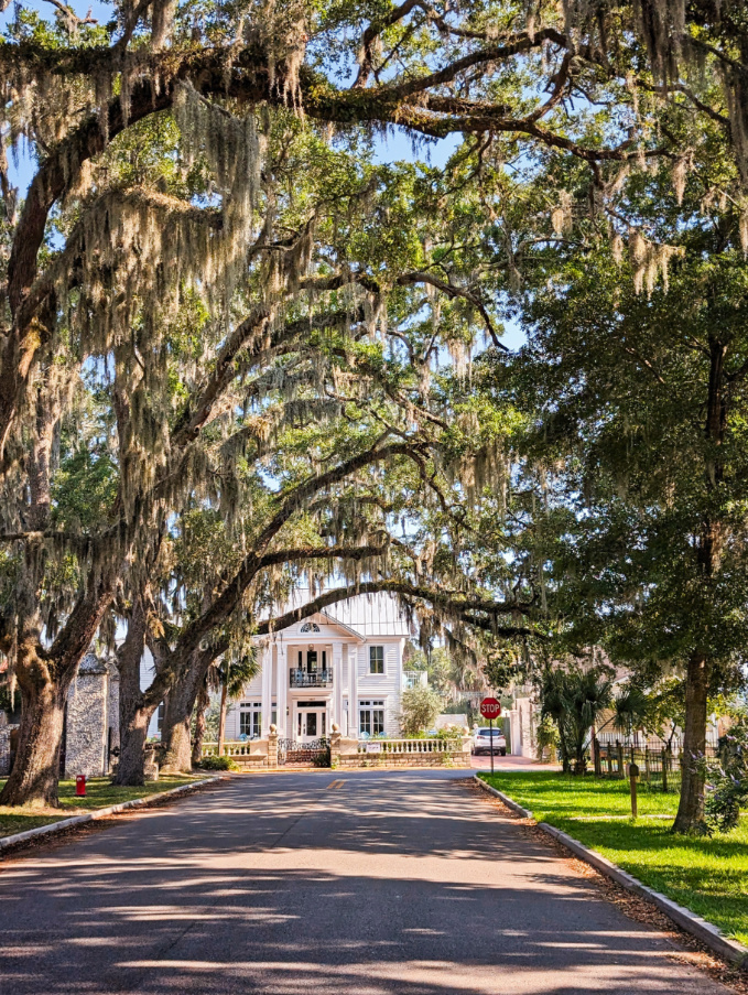 Magnolia Ave with Spanish Moss Prettiest Street Saint Augustine Florida 2