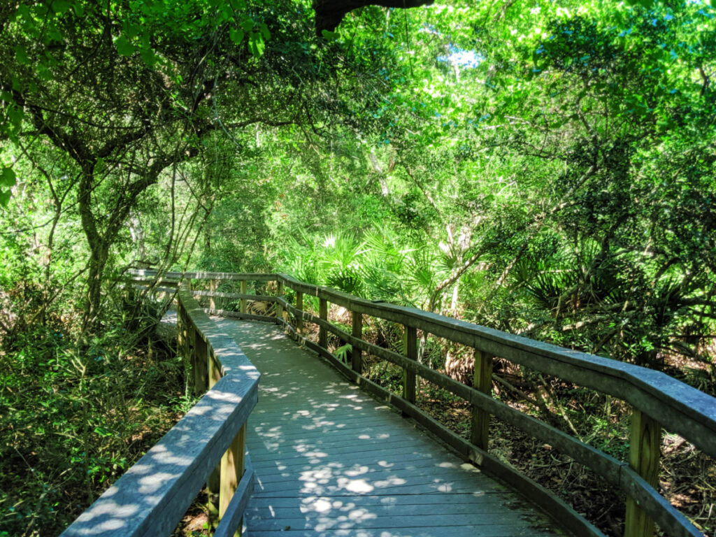 Nature trail at Fort Matanzas National Monument St Augustine FL 1