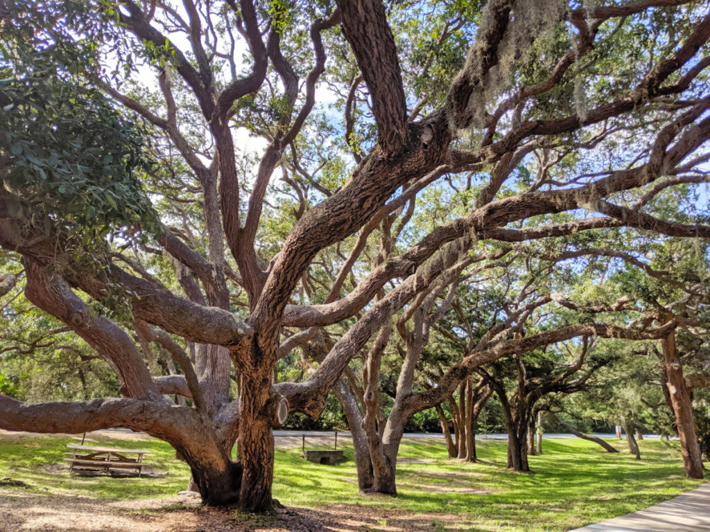 Picnic Area at Fort Matanzas National Monument St Augustine FL 3